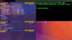 ΢ƳWindows Terminal 1.0Դ